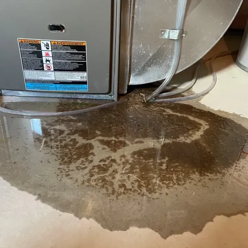 Appliance Leak Cleanup in George County, MS